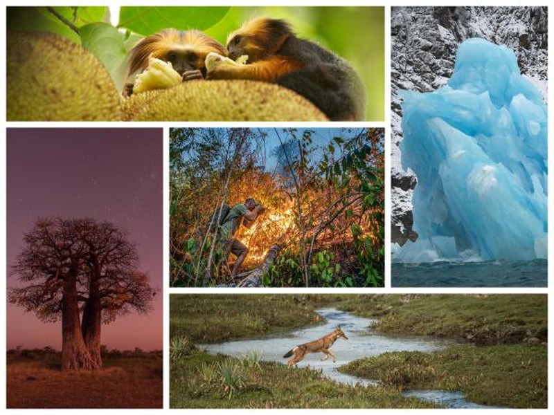„Naturwunder Erde – Unsere Welt im Wandel“