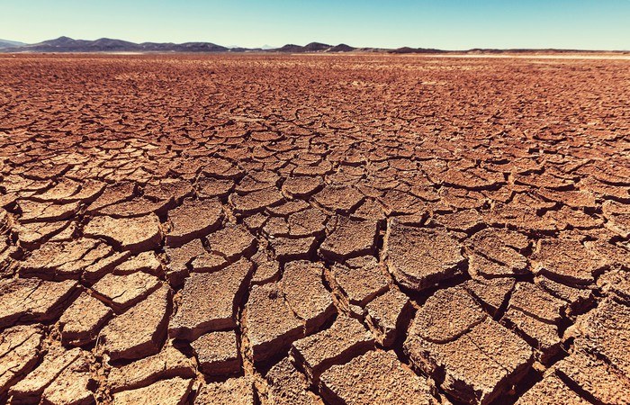 Freiberg Future Forum: Promovierte diskutierten Klimawandel