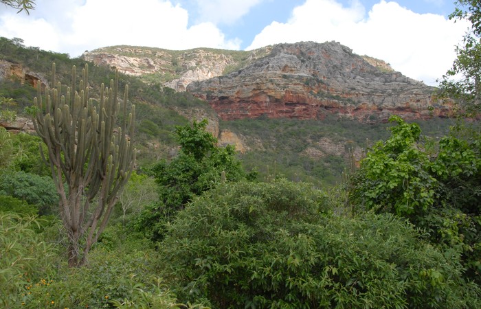 Humboldt-Bonpland-Stiftung für biologische Wissenschaften