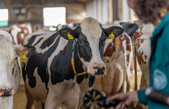 Klimaanpassung für den Stall der Zukunft