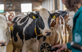 Klimaanpassung für den Stall der Zukunft