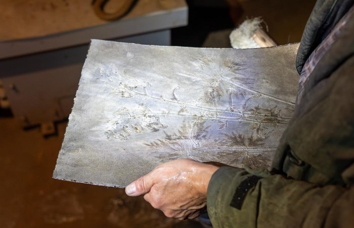 Blüten in Stahl gesprengt: Neue Ausstellung „Exploded Flowers“ im Foyer der terra mineralia