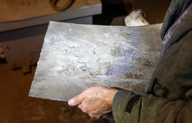 Blüten in Stahl gesprengt: Neue Ausstellung „Exploded Flowers“ im Foyer der terra mineralia