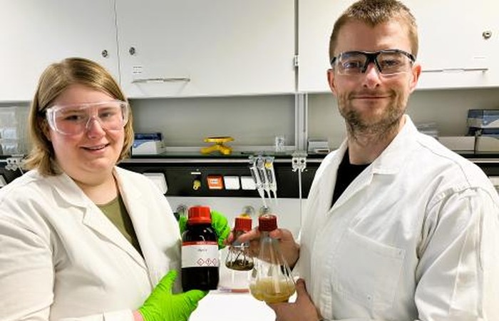 Gesundheitsschädliches Styrol günstig und zuverlässig nachweisen: Dr. Erich-Krüger-Stiftung fördert Projekt für neuen Biosensor-Schnelltest