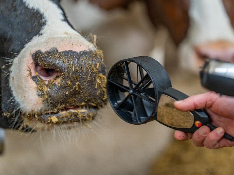 Hörabend: Methan – Klimafaktor im Fokus